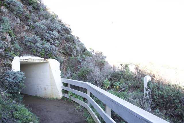 The Bunker Tunnel to Cliffside Walkway