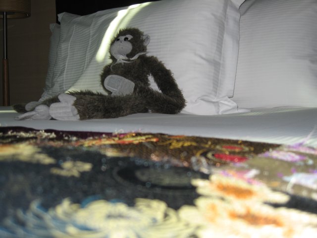 Monkeying Around on the Bed