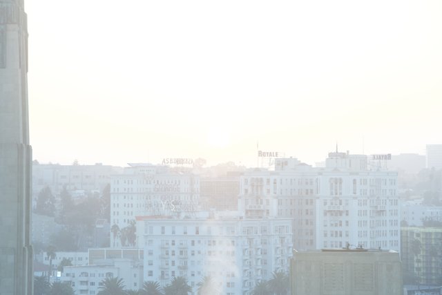 Urban Haze in Los Angeles