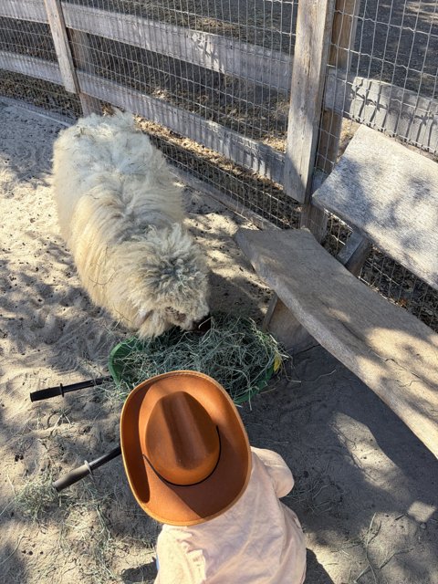 Cowboy Encounters Furry Friend