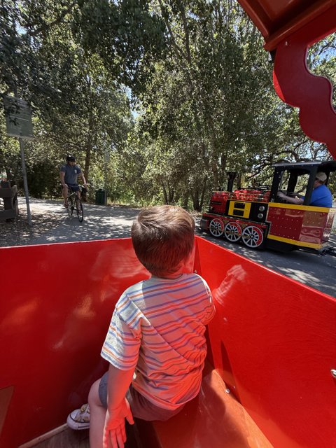 A Day of Adventure in Walnut Creek