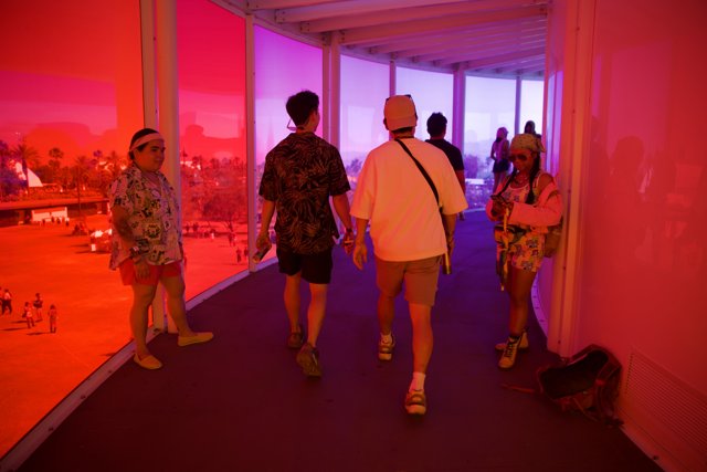 Festival Colors: A Coachella 2024 Snapshot