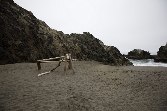 Driftwood Sculpture on Foggy Northern California Beach