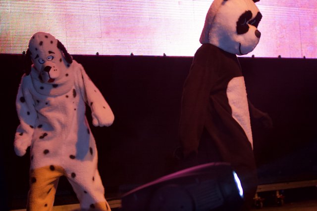 Panda and Dog Take Coachella by Storm