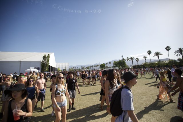 Music, Sun, and Fun at Coachella