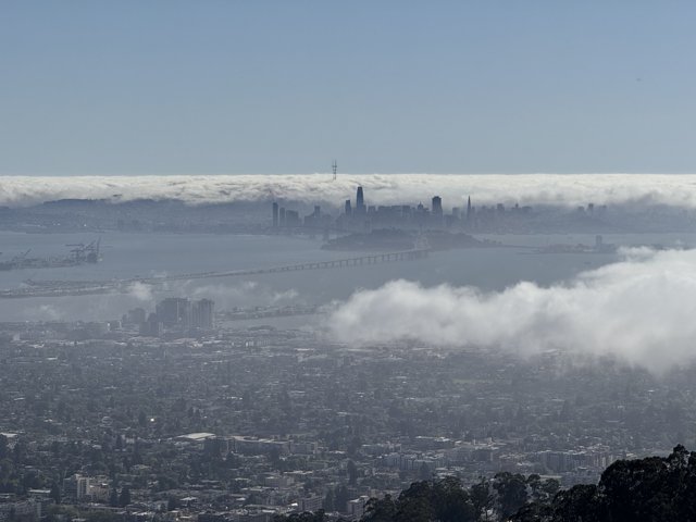 Fog Embrace Over the Bay