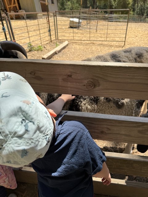 Curious Encounters at Tilden Nature Area