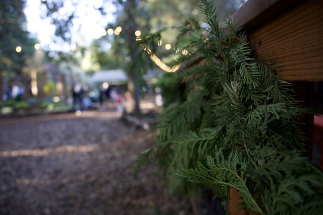 Enchanted Greenery