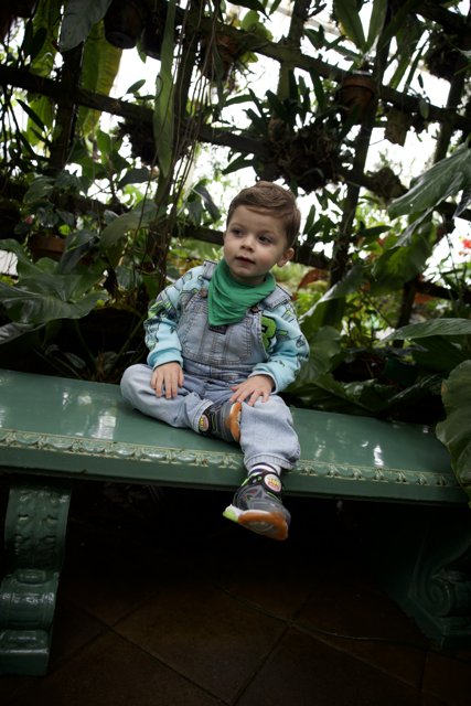 Greenhouse Serenity: A Young Boy's Moment at Golden Gate Park