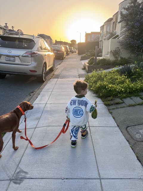 Boy's Best Friend: Casual Days in the Neighborhood