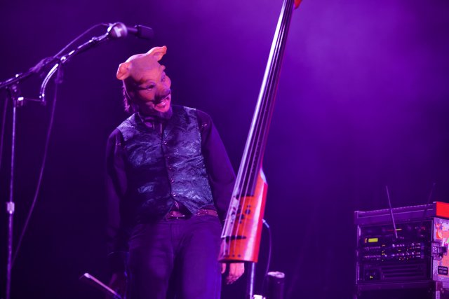 Pig-Headed Cellist Shreds the Stage at Coachella