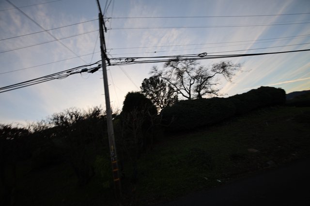 Dusk Silhouettes Along Rural Power Lines