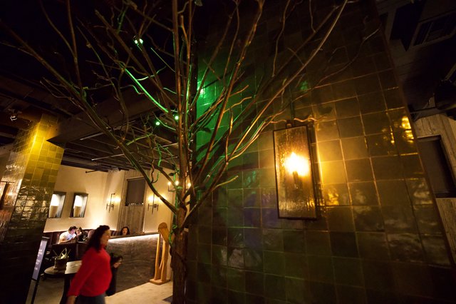 Illuminated Tree in Contemporary Restaurant Interior