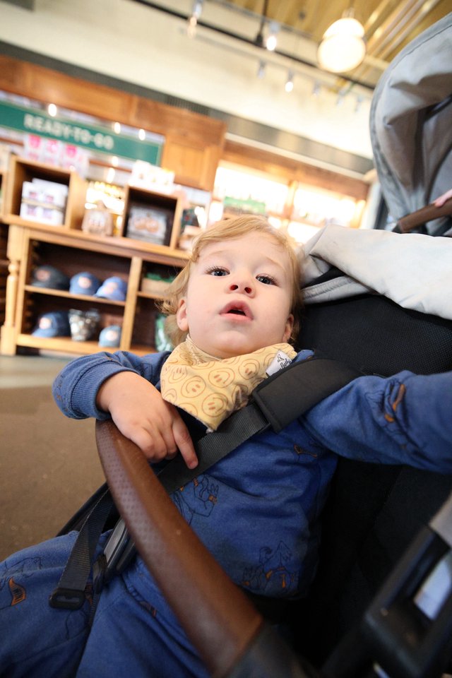 Young Child Shopping in Retail Store Stroller