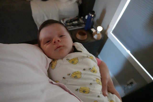 Newborn Baby Wesley in Bee-Patterned Swaddle