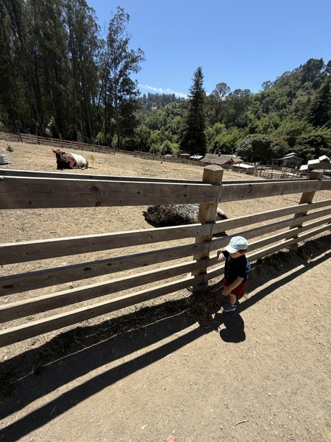 Curious Adventures at Tilden Nature Area