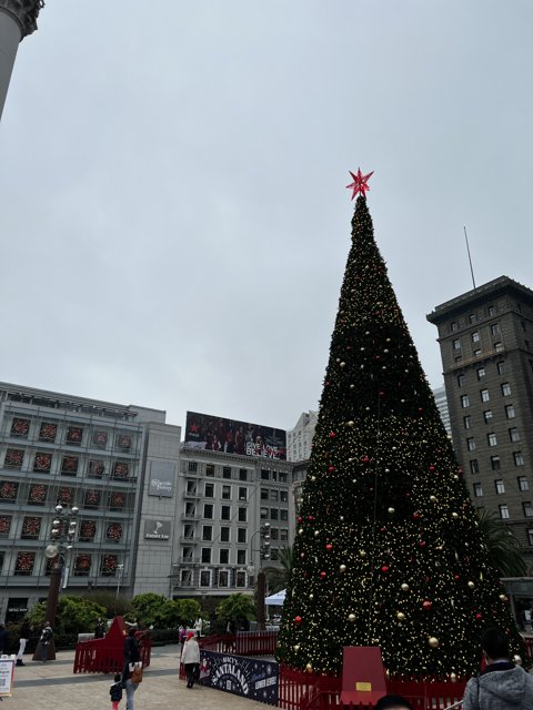 Sparkling Christmas tree in the heart of Union Square