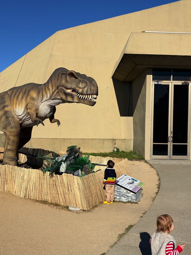 Child Encounters Life-Size T-Rex Display at Museum