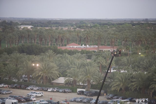 View of Palm Trees and a Massive Building