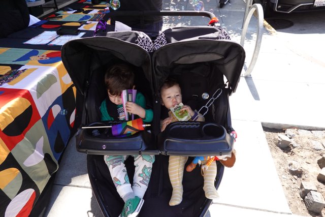 Afternoon Adventures in Twin Strollers