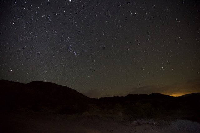 Stargazing in the Desert Nightscape