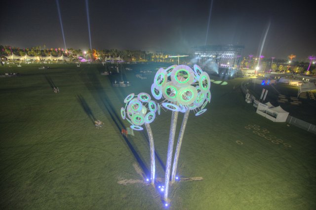 Illuminated Tree in a Night Field