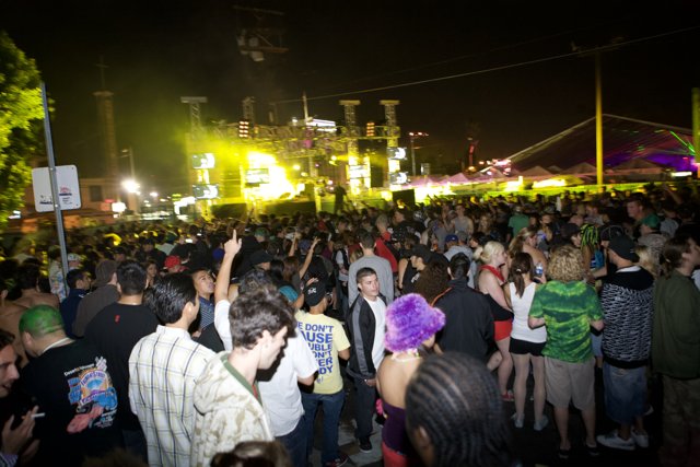 Nocturnal Crowd at Music Festival