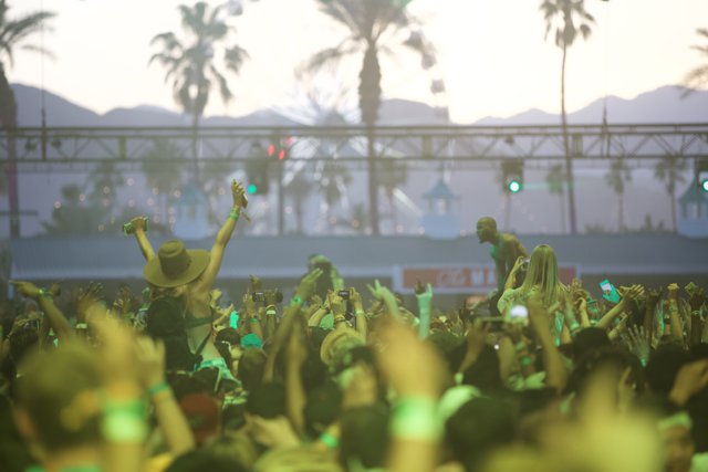 Palm Trees and Throngs of Fans