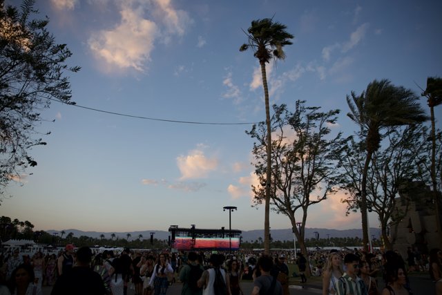 Sunset Serenade: The Second Weekend of Coachella 2024