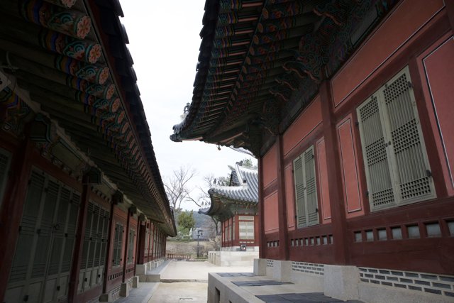 The Red Roofed Monastery: A Korean Urban Refuge