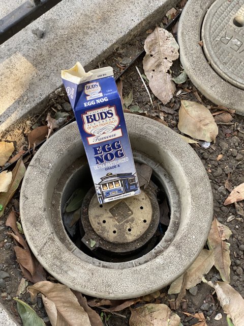 Blue Milk on a Sewer Grate