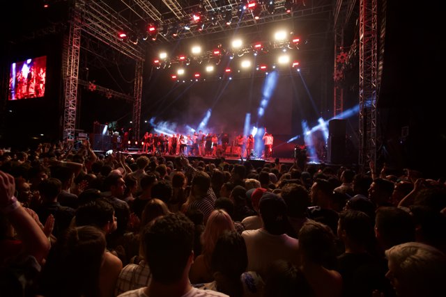 The Electric Crowd at FYF Bullock 2015
