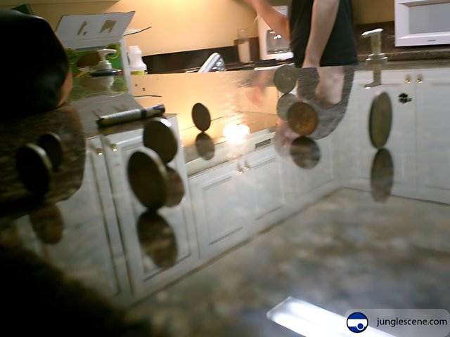 Coins on the Kitchen Counter