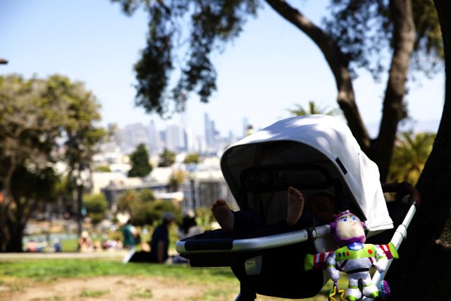 An Unusual Stroller Trip in Delores Park, 2023