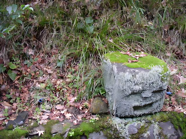 Stone Face in the Wilderness