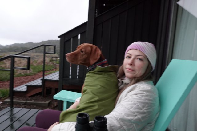 Woman and Dog Relaxing on Mountain Deck