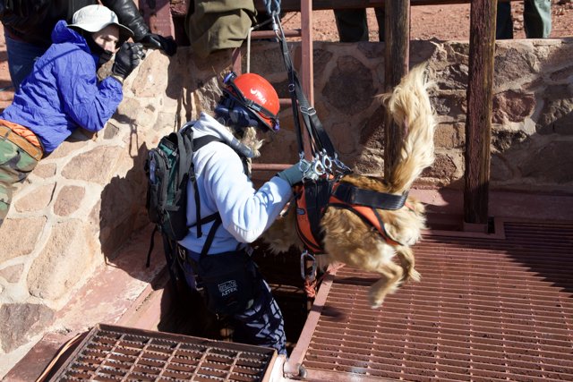 Mine Rescue Mission: Man and His Canine Companion