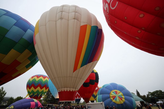 Colorful Hot Air Balloons Rising at Sonoma Classic