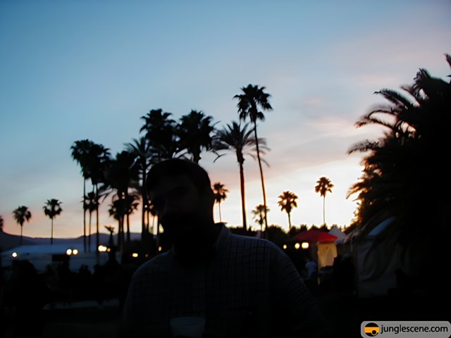 Silhouette of a man standing in front of palm trees at sunset