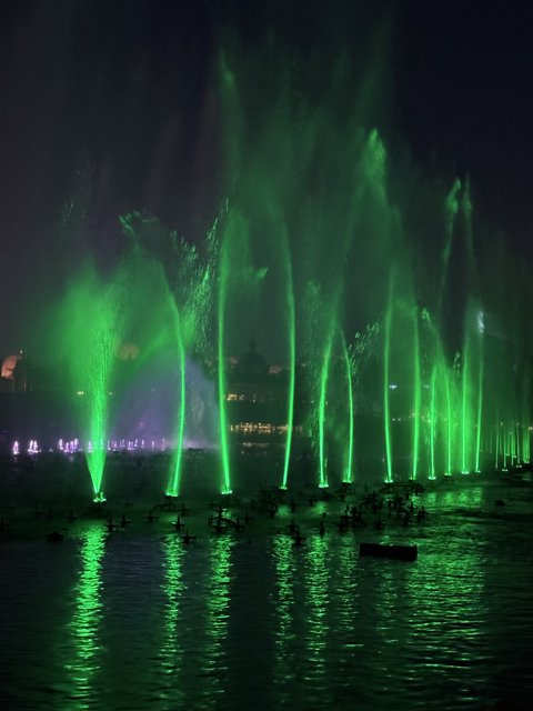 Enchanted Night at Disney California Adventure