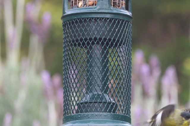 Green Mesh Bird Feeder in Garden Setting