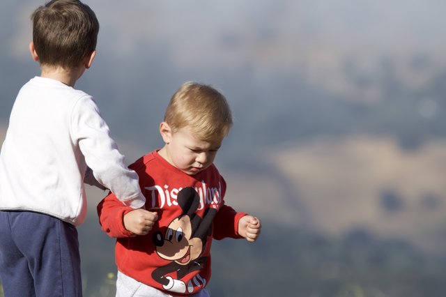 Two Young Brothers Exploring at Mount Diablo
