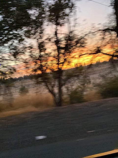 Sunset Drive through Santa Rosa