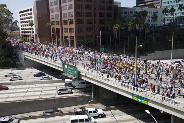Mayday Rally Takes Over the City Bridge