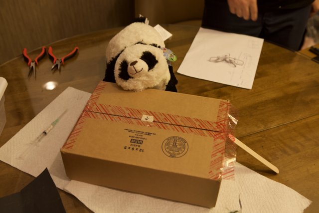 Cozy Panda on Wooden Box