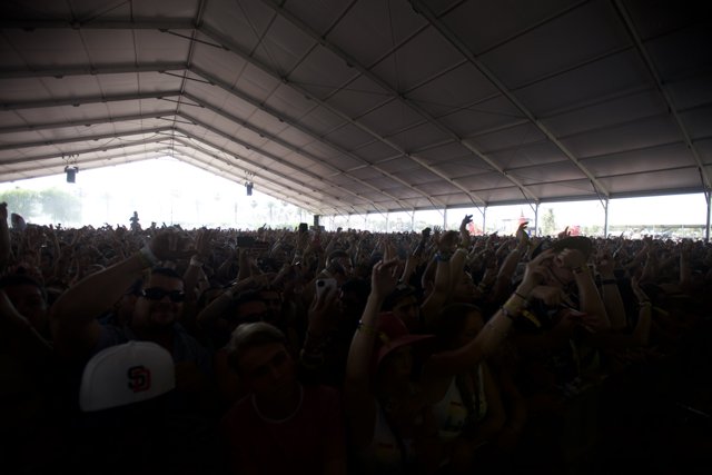 Electrified Crowd at Coachella Music Festival