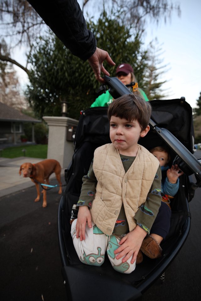 Young Boy Standing in Double Stroller with Dog and Sibling