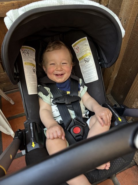 Joyful Moments in Walnut Creek