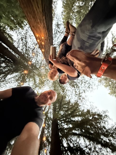 Evening Reflections in the Redwoods