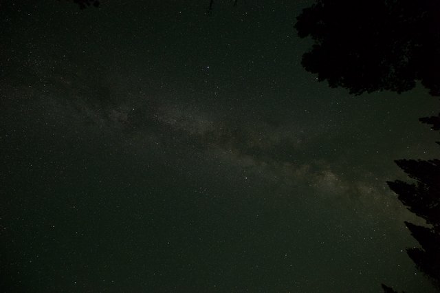 Milky Way Arches Over Lake Tahoe Pine Forest